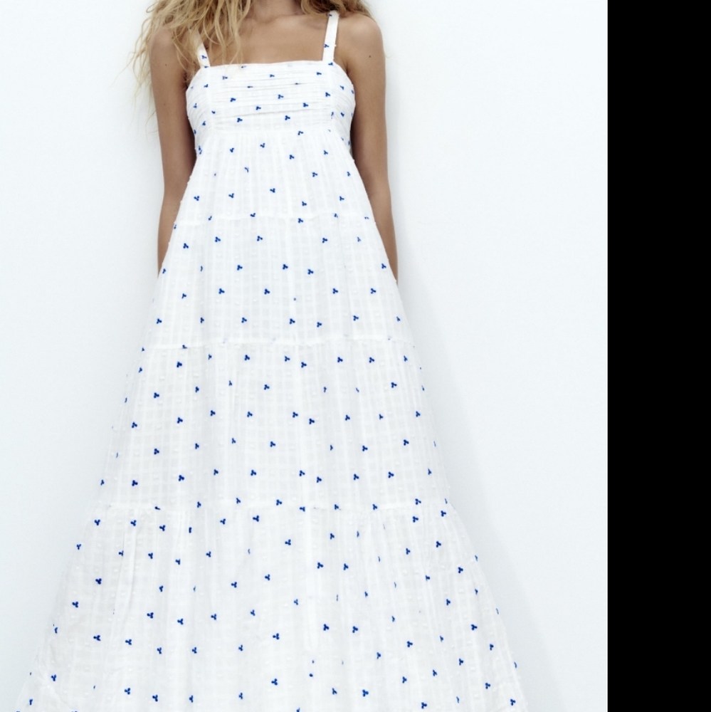 Zara Embroidered Dress - Picture 3 of 12